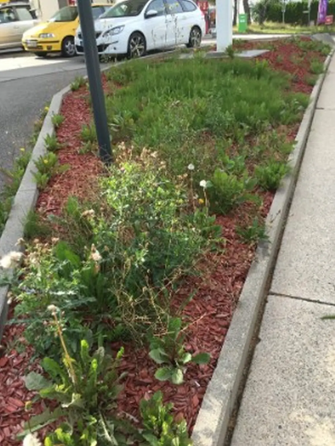 Gartenreinigung durch Gebäudereinigung & Objektservice Anastassiadis